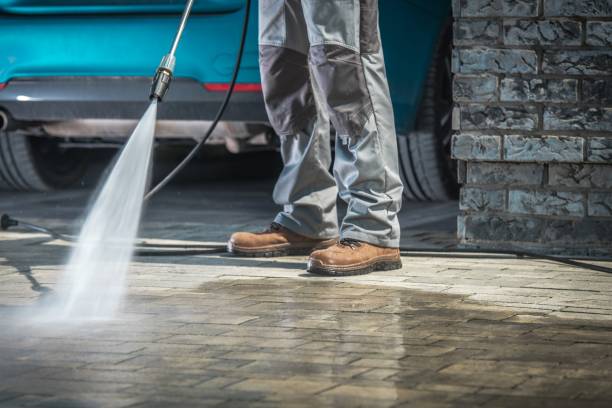 Best Patio and Deck Pressure Washing  in St Johns, MI
