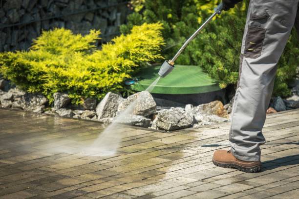 Best Warehouse Cleaning  in St Johns, MI