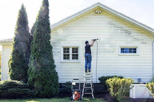Best House Exterior Washing  in St Johns, MI