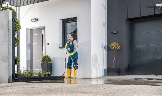 Best Factory Floor Cleaning  in St Johns, MI